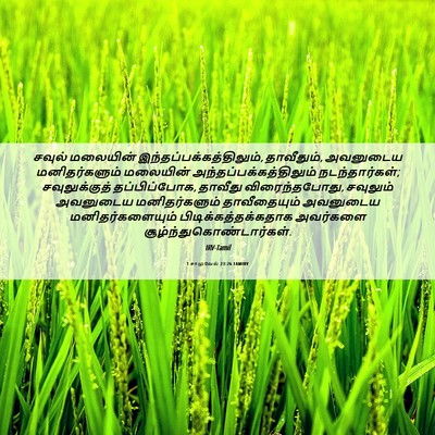 Picture 06 - 1 சாமுவேல் 23:26 TAMIRV - சவுல் மலையின் - Bible Verse Picture