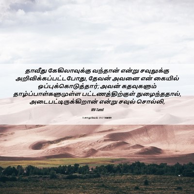 Picture 06 - 1 சாமுவேல் 23:7 TAMIRV - தாவீது - Bible Verse Picture