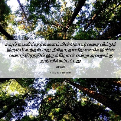 Picture 06 - 1 சாமுவேல் 24:1 TAMIRV - சவுல் - Bible Verse Picture