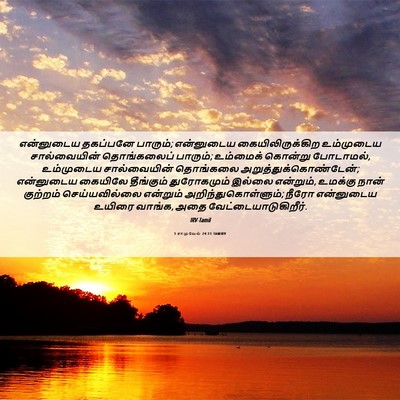 Picture 06 - 1 சாமுவேல் 24:11 TAMIRV - என்னுடைய தகப்பனே - Bible Verse Picture