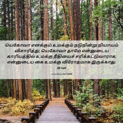 Picture 06 - 1 சாமுவேல் 24:12 TAMIRV - யெகோவா எனக்கும் - Bible Verse Picture