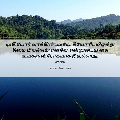 Picture 06 - 1 சாமுவேல் 24:13 TAMIRV - முதியோர் - Bible Verse Picture
