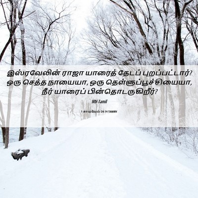 Picture 06 - 1 சாமுவேல் 24:14 TAMIRV - இஸ்ரவேலின் ராஜா - Bible Verse Picture