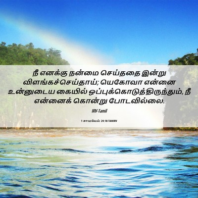 Picture 06 - 1 சாமுவேல் 24:18 TAMIRV - நீ எனக்கு நன்மை - Bible Verse Picture