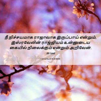 Picture 06 - 1 சாமுவேல் 24:20 TAMIRV - நீ நிச்சயமாக - Bible Verse Picture