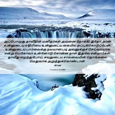 Picture 06 - 1 சாமுவேல் 24:4 TAMIRV - அப்பொழுது - Bible Verse Picture