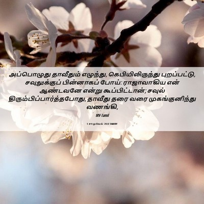 Picture 06 - 1 சாமுவேல் 24:8 TAMIRV - அப்பொழுது - Bible Verse Picture