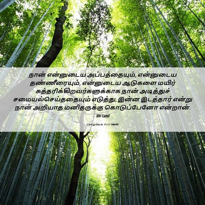 Picture 06 - 1 சாமுவேல் 25:11 TAMIRV - நான் என்னுடைய - Bible Verse Picture