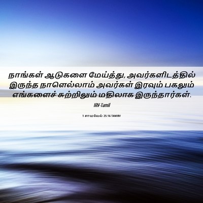 Picture 06 - 1 சாமுவேல் 25:16 TAMIRV - நாங்கள் ஆடுகளை - Bible Verse Picture