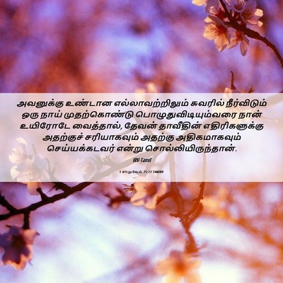 Picture 06 - 1 சாமுவேல் 25:22 TAMIRV - அவனுக்கு உண்டான - Bible Verse Picture