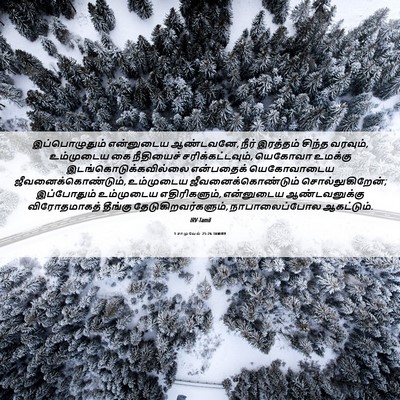 Picture 06 - 1 சாமுவேல் 25:26 TAMIRV - இப்பொழுதும் - Bible Verse Picture