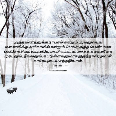 Picture 06 - 1 சாமுவேல் 25:3 TAMIRV - அந்த மனிதனுக்கு - Bible Verse Picture