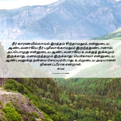 Picture 06 - 1 சாமுவேல் 25:31 TAMIRV - நீர் - Bible Verse Picture