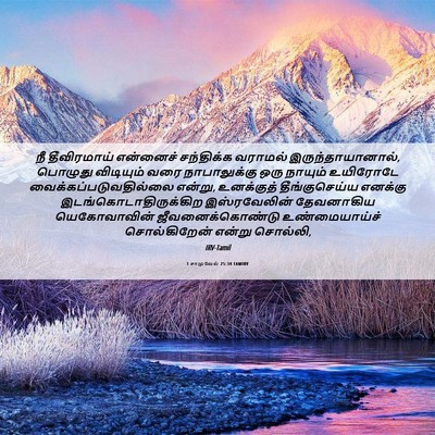 Picture 06 - 1 சாமுவேல் 25:34 TAMIRV - நீ தீவிரமாய் - Bible Verse Picture
