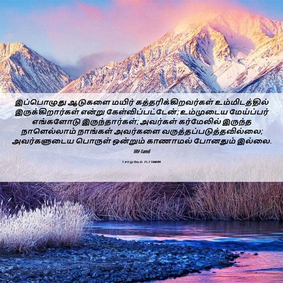 Picture 06 - 1 சாமுவேல் 25:7 TAMIRV - இப்பொழுது ஆடுகளை - Bible Verse Picture