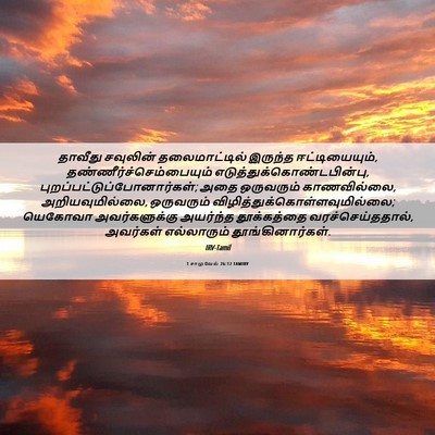 Picture 06 - 1 சாமுவேல் 26:12 TAMIRV - தாவீது சவுலின் - Bible Verse Picture