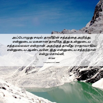 Picture 06 - 1 சாமுவேல் 26:17 TAMIRV - அப்பொழுது சவுல்: - Bible Verse Picture