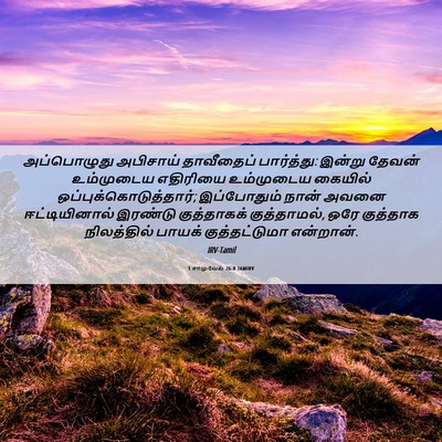 Picture 06 - 1 சாமுவேல் 26:8 TAMIRV - அப்பொழுது அபிசாய் - Bible Verse Picture