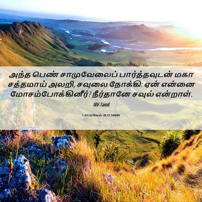 Picture 06 - 1 சாமுவேல் 28:12 TAMIRV - அந்த பெண் - Bible Verse Picture