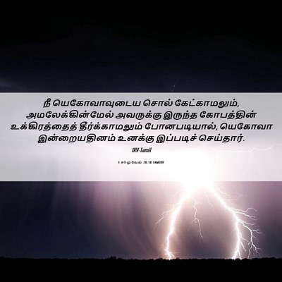Picture 06 - 1 சாமுவேல் 28:18 TAMIRV - நீ யெகோவாவுடைய - Bible Verse Picture