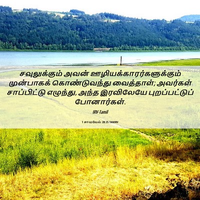 Picture 06 - 1 சாமுவேல் 28:25 TAMIRV - சவுலுக்கும் அவன் - Bible Verse Picture