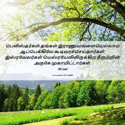 Picture 06 - 1 சாமுவேல் 29:1 TAMIRV - பெலிஸ்தர்கள் - Bible Verse Picture