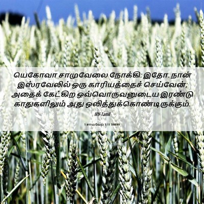 Picture 06 - 1 சாமுவேல் 3:11 TAMIRV - யெகோவா சாமுவேலை - Bible Verse Picture