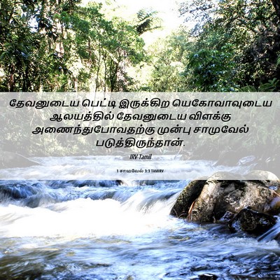 Picture 06 - 1 சாமுவேல் 3:3 TAMIRV - தேவனுடைய பெட்டி - Bible Verse Picture