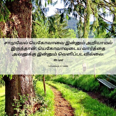 Picture 06 - 1 சாமுவேல் 3:7 TAMIRV - சாமுவேல் யெகோவாவை - Bible Verse Picture