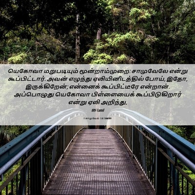 Picture 06 - 1 சாமுவேல் 3:8 TAMIRV - யெகோவா மறுபடியும் - Bible Verse Picture