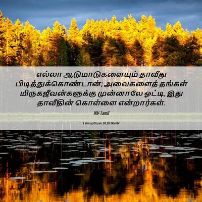 Picture 06 - 1 சாமுவேல் 30:20 TAMIRV - எல்லா - Bible Verse Picture