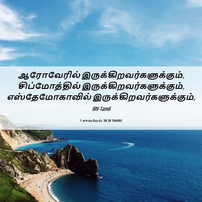 Picture 06 - 1 சாமுவேல் 30:28 TAMIRV - ஆரோவேரில் - Bible Verse Picture