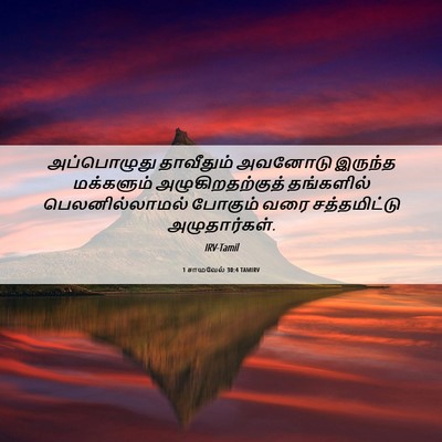 Picture 06 - 1 சாமுவேல் 30:4 TAMIRV - அப்பொழுது - Bible Verse Picture
