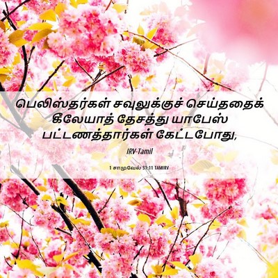 Picture 06 - 1 சாமுவேல் 31:11 TAMIRV - பெலிஸ்தர்கள் - Bible Verse Picture