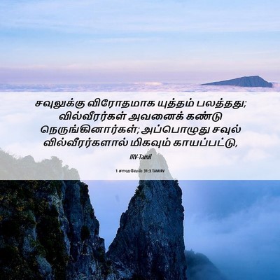 Picture 06 - 1 சாமுவேல் 31:3 TAMIRV - சவுலுக்கு - Bible Verse Picture