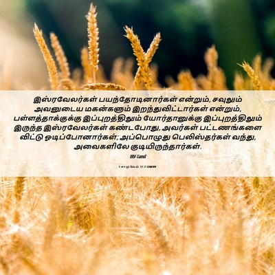 Picture 06 - 1 சாமுவேல் 31:7 TAMIRV - இஸ்ரவேலர்கள் - Bible Verse Picture