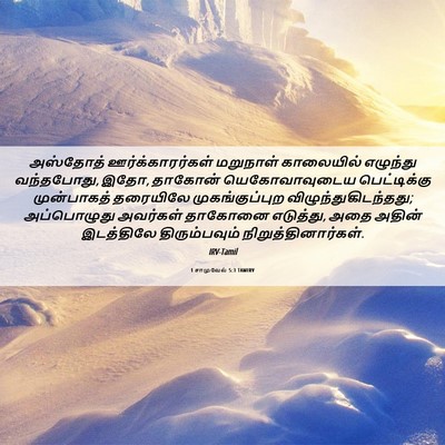 Picture 06 - 1 சாமுவேல் 5:3 TAMIRV - அஸ்தோத் - Bible Verse Picture