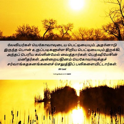 Picture 06 - 1 சாமுவேல் 6:15 TAMIRV - லேவியர்கள் - Bible Verse Picture