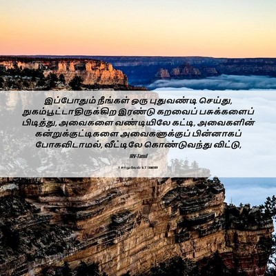 Picture 06 - 1 சாமுவேல் 6:7 TAMIRV - இப்போதும் நீங்கள் - Bible Verse Picture