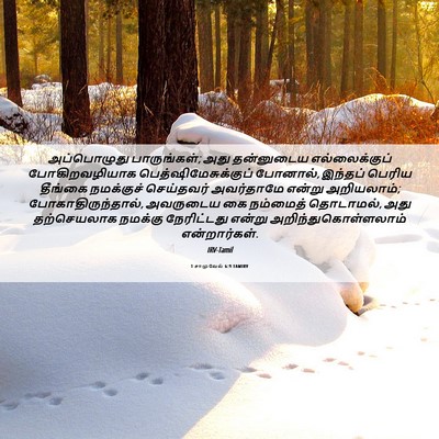 Picture 06 - 1 சாமுவேல் 6:9 TAMIRV - அப்பொழுது - Bible Verse Picture