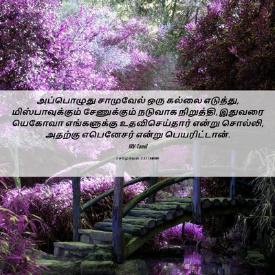 Picture 06 - 1 சாமுவேல் 7:12 TAMIRV - அப்பொழுது - Bible Verse Picture