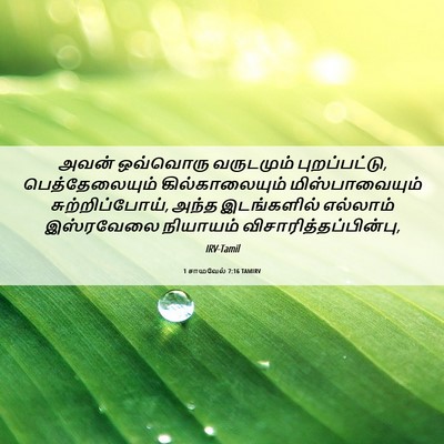 Picture 06 - 1 சாமுவேல் 7:16 TAMIRV - அவன் ஒவ்வொரு - Bible Verse Picture