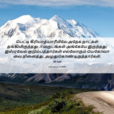 Picture 06 - 1 சாமுவேல் 7:2 TAMIRV - பெட்டி - Bible Verse Picture