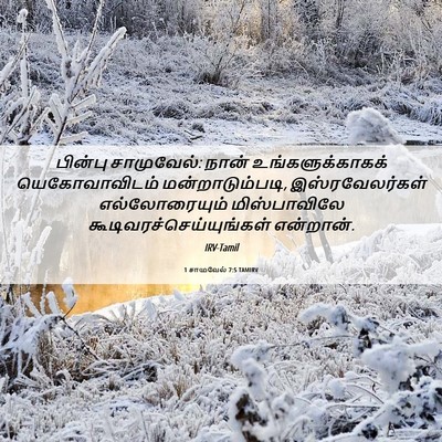 Picture 06 - 1 சாமுவேல் 7:5 TAMIRV - பின்பு சாமுவேல்: - Bible Verse Picture