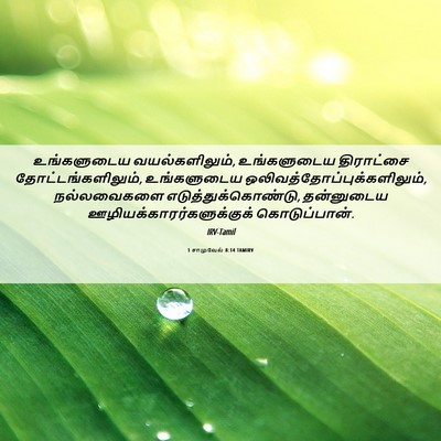 Picture 06 - 1 சாமுவேல் 8:14 TAMIRV - உங்களுடைய - Bible Verse Picture