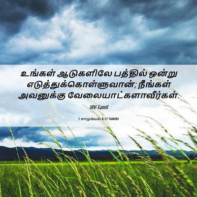Picture 06 - 1 சாமுவேல் 8:17 TAMIRV - உங்கள் ஆடுகளிலே - Bible Verse Picture