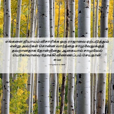 Picture 06 - 1 சாமுவேல் 8:6 TAMIRV - எங்களை நியாயம் - Bible Verse Picture