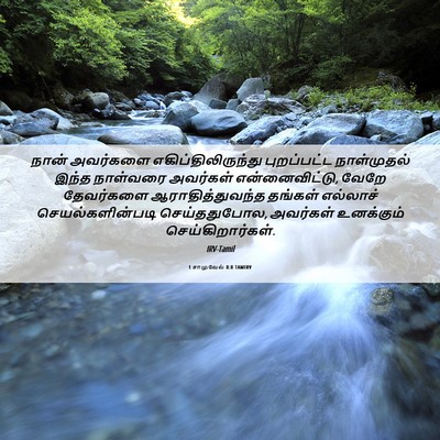 Picture 06 - 1 சாமுவேல் 8:8 TAMIRV - நான் அவர்களை - Bible Verse Picture