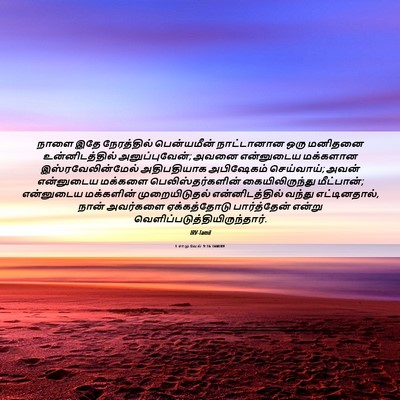 Picture 06 - 1 சாமுவேல் 9:16 TAMIRV - நாளை இதே - Bible Verse Picture