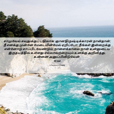 Picture 06 - 1 சாமுவேல் 9:19 TAMIRV - சாமுவேல் - Bible Verse Picture